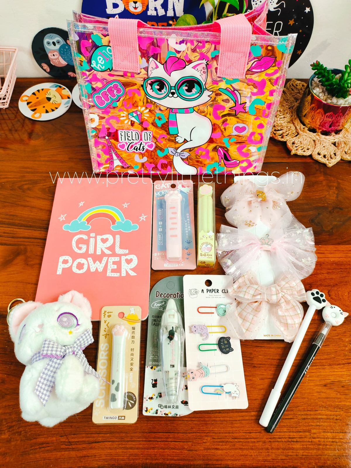 Cool Kitty Power Hamper