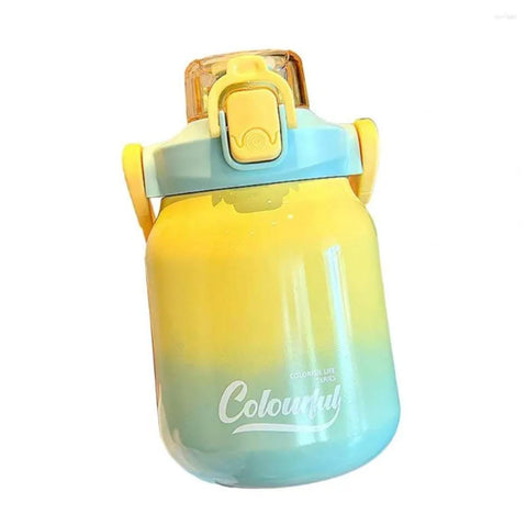Insulated Ombre Shade Dual Sipper 620 ml Bottle